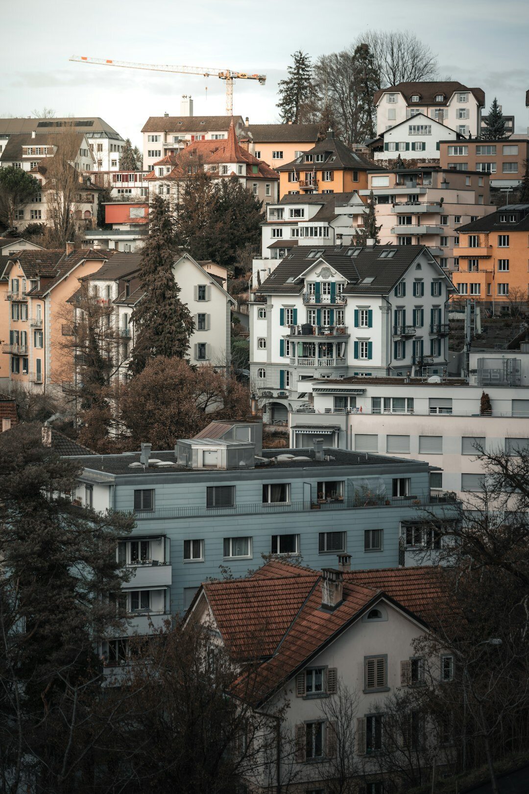 swiss landscape with city