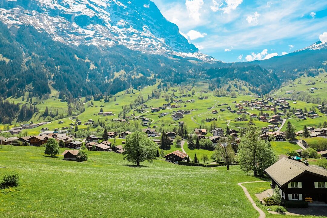 swiss landscape with buildings