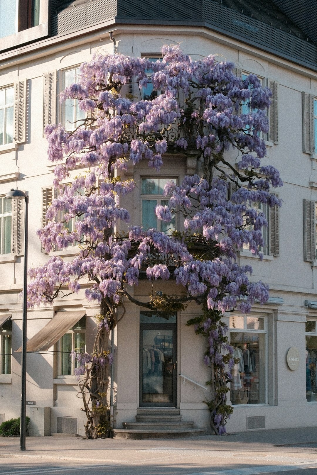 Modern office building entrance in a Swiss city